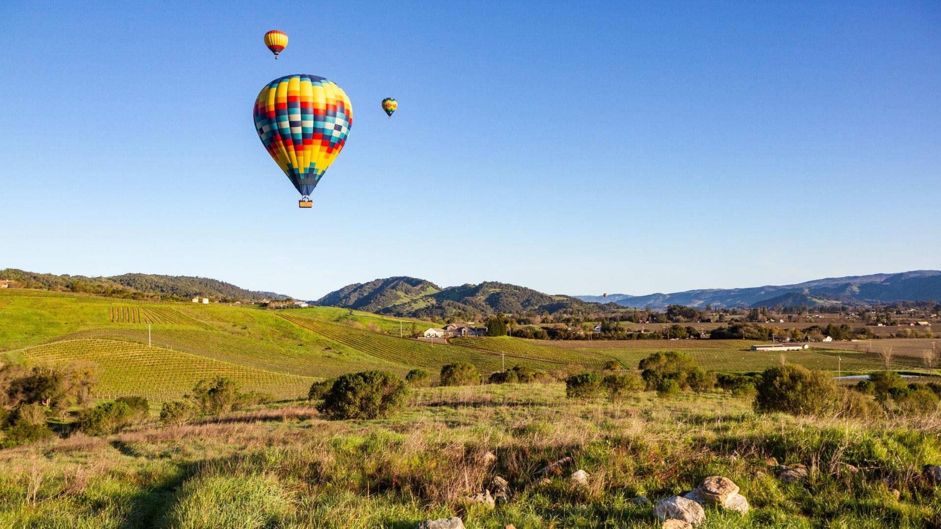 Wine Country Stays - Blog Sample - 5 Search All Orlando Vacation Rentals