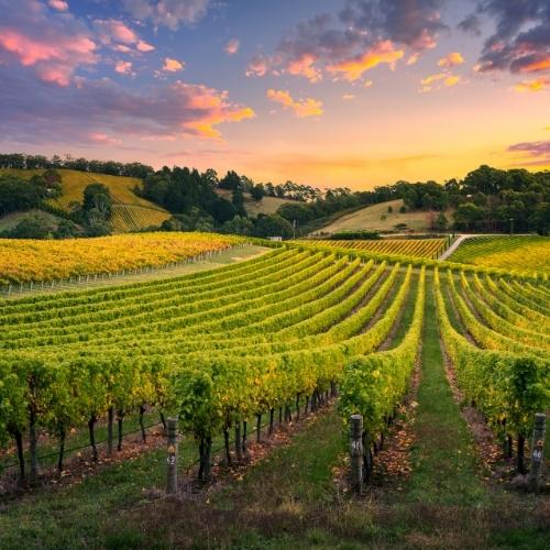 Cities and Towns in Wine Country